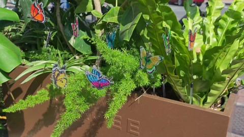 B04 Fingerprint Electronic Door Lock with Keypad and Handle – Keyless Entry Smart Door Lock, Remote APP Control, Code Unlock, Silver, Smart Locks for Front Door, Home, Office Use