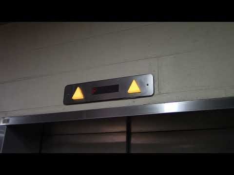 ThyssenKrupp Aurora Oildraulic Elevators - Safeway - Kensington, MD | ECFE