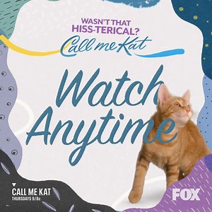 2.5K views · 276 reactions | Hiss-terical is our middle name.  Catch up on the latest episode anytime: bit.ly/callmekatfb | Call Me Kat | Facebook