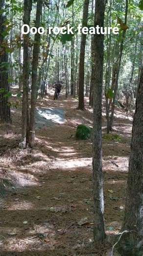 rock feature MTB #mtb #mtbbike #mtblife #downhill #mountainbike