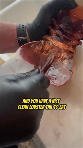 51K views · 167 reactions | How to Clean a Lobster the right way! Your Saltwater Guide is Sponsored by Reel Quick Fishing. | Your Saltwater Guide | Facebook