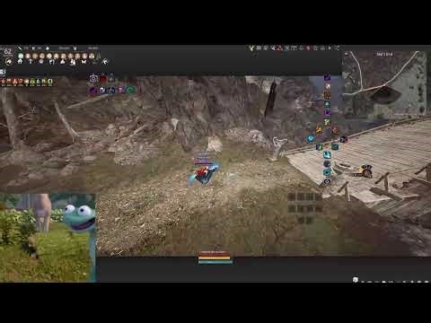 Tamer 20b/day 8/20b today| 860 gs | Black desert