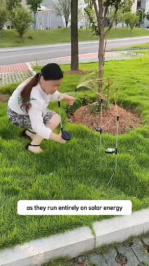 60K views · 276 reactions | Solar Firework Lights | Terra Nursery | Facebook