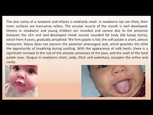 12 00 Anatomical and physiological features of the digestive system in children