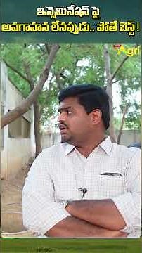 Bull Calf Farming #ToneAgri #BullCalfFarming #BullCalves #BuffaloDairyFarm #BuffaloDairyInsights