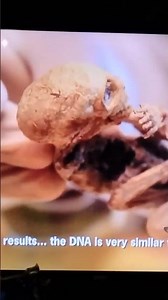 I'm watching a YouTube free movie called, THE WATCHERS 10...DNA