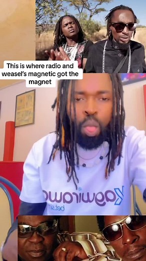 Exploring the Musical Symphony of Magnetic Radio and Weasel