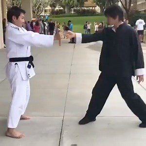 the power in this one inch punch is unmatched #oneinchfist #oneinchpunch #martialartstechniques #kungfulife #martialartslife | One Inch Fist