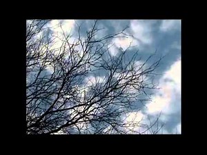 Wedding March Processional #4