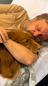 20K views · 43 reactions | Pet's incredible help! | Tips & Tricks | Facebook