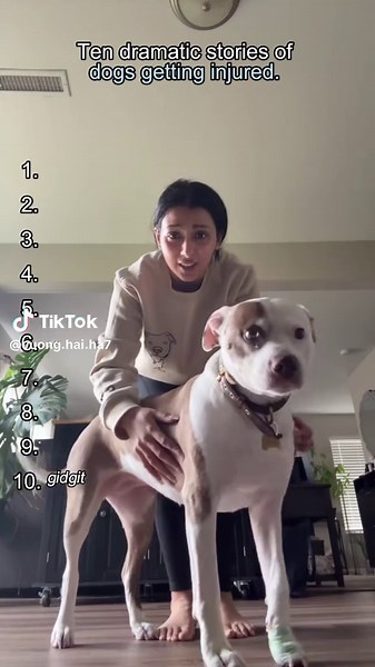 Caring for Your Injured Dog: Tips and Advice