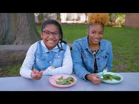 Sesame Street: Cookie Monster's Foodie Truck- Spinach