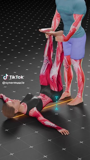 Lower back decompression with gentle traction. Lift the legs, gently raise the hips and lower back off the floor, then lightly rock side to side. This helps release the lower back muscles, glutes, hip flexors, and deep pelvic muscles, easing tension through the area and allowing the surrounding nerves to relax and decompress. #lowerbackpain #lowbackpain #lumbarspine #hipmobility #stretching #hipflexorstretch #backpainrelief #mobility