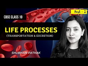 Life Processes | Part 3 | Class 10 Biology | Excretion | Transportation | Shubham Pathak