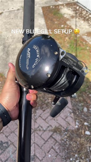 Rating the New Bluegill Rig for Fishing Enthusiasts