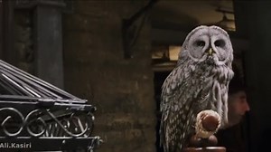 هری پاتر و سنگ جادو | Harry Potter and the Sorcerer's Stone محصول ۲۰۰۱ با زیرنویس فارسی بدون سانسور