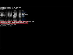 Mind Luster - Learn Git and GitHub Essentials Tracking Changes in Your Project