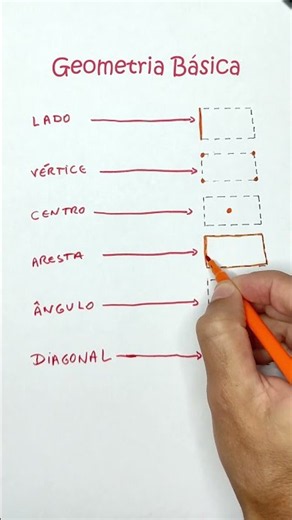 Geometria Básica: Tudo o Que Você Precisa Saber