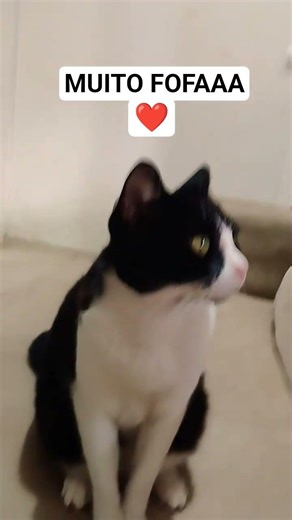 1 de fevereiro de 2026