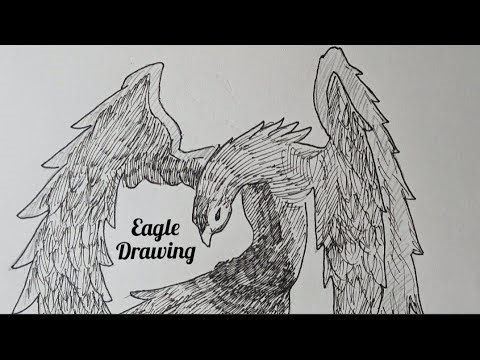 how to draw an eagle flying/drawing of eagle step by step/eagle drawing simple/draw eagle sketch