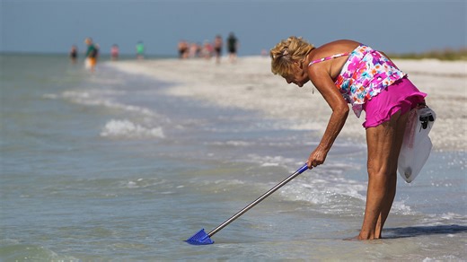 Florida shelling expert shares bucket list, including rare SWFL finds