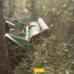 3K views · 20 reactions |  Forza bruta in azione!  Ecco CAT-UP,...