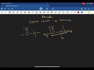 Amide Functional Group