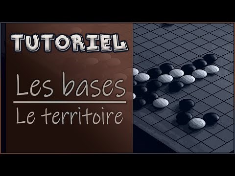 Tutoriel - Apprendre les bases du jeu de Go : LE TERRITOIRE | 2/8
