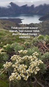 Jangan petik bunga edelweiss lalu kau berikan ke orang spesial di hati mu tapi bawalah dia ke tempat di mana bunga edelweiss itu tumbuh di sanalah kita akan melihat ke abadian cinta yang sesungguhnya @pemburu_senja98 #pelawangansembalun #sunsetpelawangan #pendakikusam #pendakikeren #rinjani3726mdpl | Ite Demen Lek Lombok