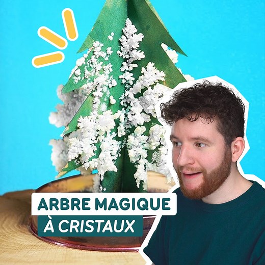 54K views · 444 reactions | Je fabrique mon propre arbre à cristaux | Alexandre Calvez | Facebook