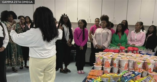 WISH Foundation dedicated to helping young women reach full potential through mentorship, service
