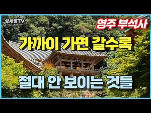 [Korean History Tour] Buseoksa, a mysterious temple that you will never see as you get closer