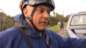 After Tree Trimmer's Death in Bonita, Arborist and Trimming Expert Explains Dangers of the Job