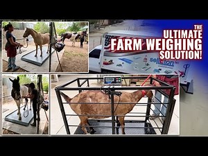 Perfect Weighing Solutions for Your Farm with SellEton Scales