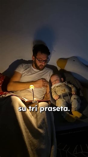 Srđan Slijepčević on Instagram: "Tri praseta, vuk i još po nešto 🤓 . . . #tripraseta #bajka #it #house #fairytale #baby #bedtimestories📚"