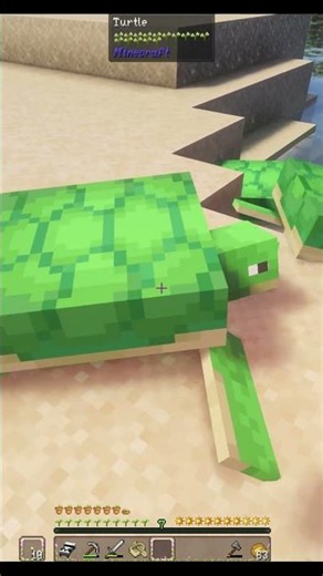 Cute Mob Alert: Minecraft Turtles 🍂 Stonevania SMP: Season 2 🍂 In Memory: My Dad 🍂 ch2