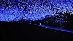 Style and performance worth shining a light on. | Jaguar