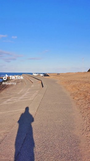 海辺の犬ララ子の行方を探して