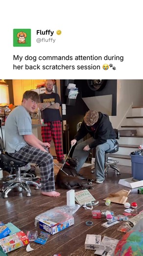 Pubity Pets on Instagram: "@Fluffy posts the best pet content on Instagram daily 🐾 Onyx, our 12-year-old pit bull, happily soaked up every second of her Christmas back scratchers. She didn’t miss a single moment of affection from the family and looked completely content. (🎥: Karissa jones via ViralHog)"