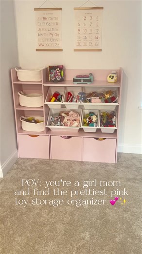 Beautiful Pink Toy Storage Organizer for Playrooms