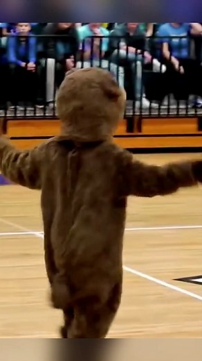 Heartwarming Military Homecoming Surprise Moments