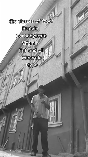 Understanding Food Classes: A Fun Take on Nutrition