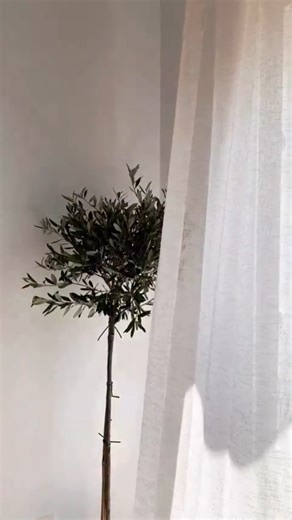 Shannon Watkins on Reels