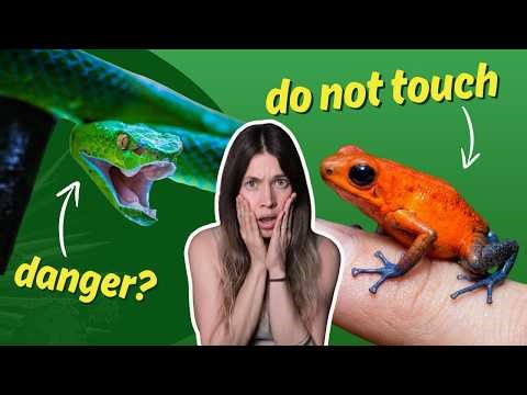 Venomous vs Poisonous - Let's Finally Clear This Up