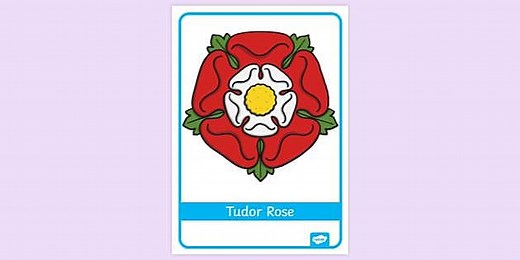Tudor Rose Poster