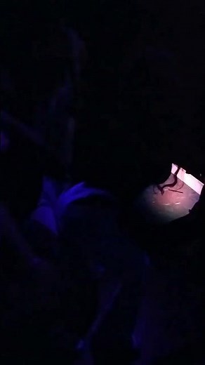 Hottie grinding in club in white thong