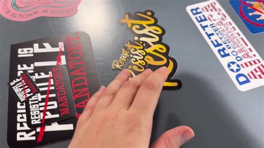 Fighting Tyranny Vinyl Sticker Progressive Activist Political