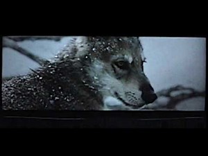 Circle of Life: An Environmental Fable (Extinct)