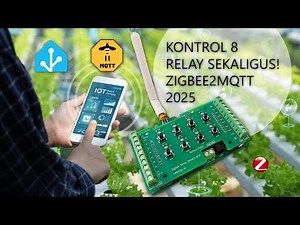 Cara Setup Zigbee Relay Drivers 8 Channel di HA via Zigbee2MQTT - Kontrol 8 Relay sekaligus!