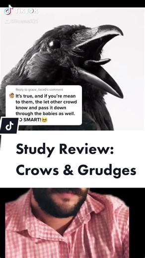 Understanding Crow Evolution and Behavior